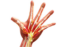 Microvascular Surgery